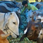 Dimensi Sosial Larangan Puasa di Hari Raya Idul Adha dan Tasyrik