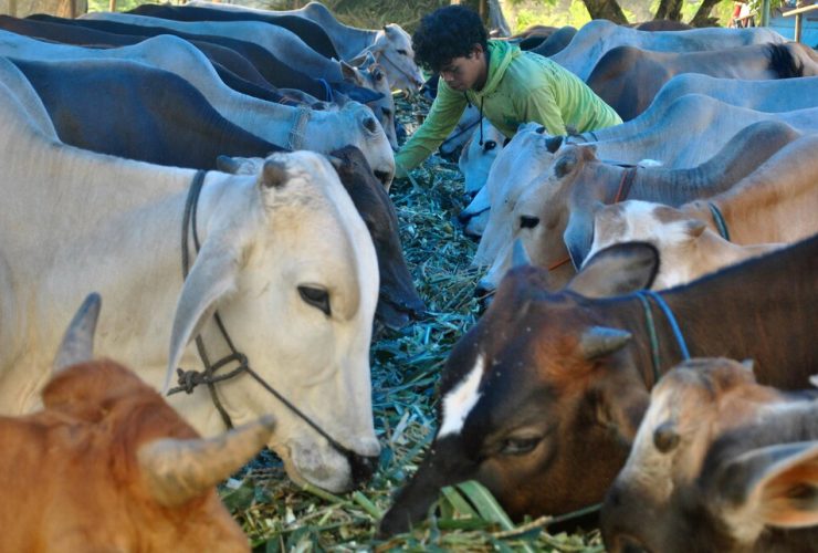 Dimensi Sosial Larangan Puasa di Hari Raya Idul Adha dan Tasyrik