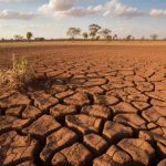 El Nino Berlanjut hingga 2027, Risiko Cuaca Ekstrem Masih Tinggi