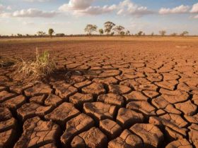 El Nino Berlanjut hingga 2027, Risiko Cuaca Ekstrem Masih Tinggi
