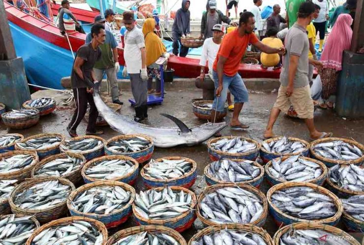 eFishery dalam Pusaran Krisis: Potret Ekosistem Perikanan yang Dipertaruhkan
