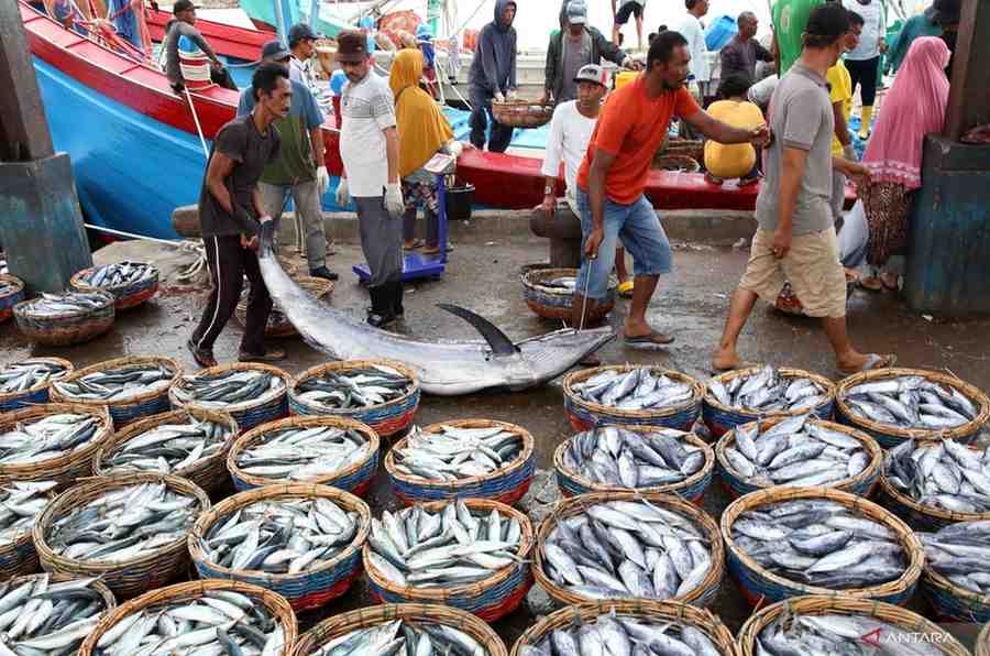 eFishery dalam Pusaran Krisis: Potret Ekosistem Perikanan yang Dipertaruhkan