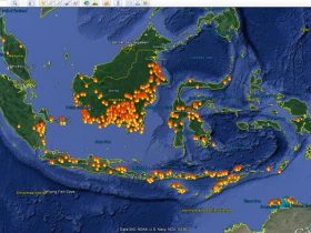 Alarm Karhutla Kalimantan Berbunyi, BNPB Catat 1.487 Titik Panas