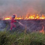 Krisis Karhutla: 72 Ribu Hektare Gambut Terbakar di Enam Provinsi