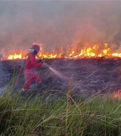 Krisis Karhutla: 72 Ribu Hektare Gambut Terbakar di Enam Provinsi
