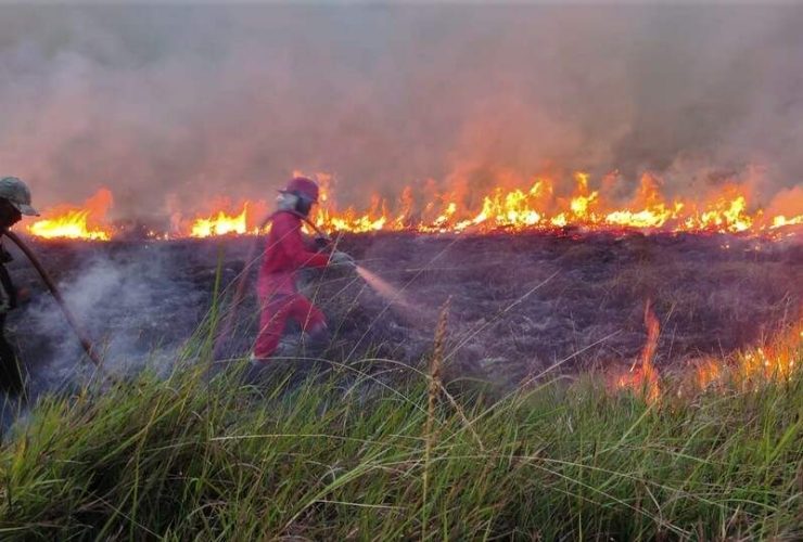 Krisis Karhutla: 72 Ribu Hektare Gambut Terbakar di Enam Provinsi