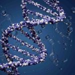 Data DNA Diperjualbelikan, Apa Hukumnya? Simak Hasil Muktamar Ke-35 NU