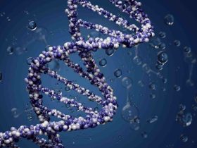 Data DNA Diperjualbelikan, Apa Hukumnya? Simak Hasil Muktamar Ke-35 NU