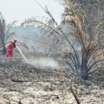 Karhutla Makin Berulang, WALHI Tagih Negara Tunaikan Mandat TAP MPR 2001