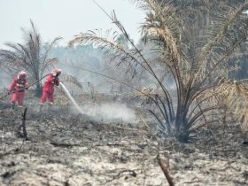 Karhutla Makin Berulang, WALHI Tagih Negara Tunaikan Mandat TAP MPR 2001