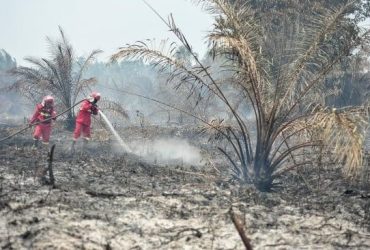 Karhutla Makin Berulang, WALHI Tagih Negara Tunaikan Mandat TAP MPR 2001
