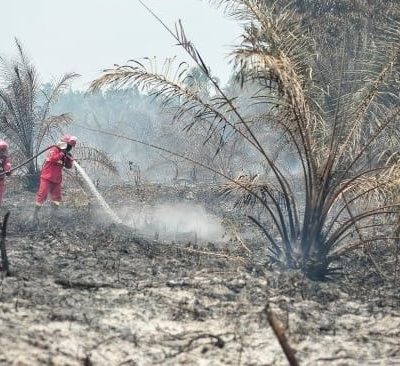 Karhutla Makin Berulang, WALHI Tagih Negara Tunaikan Mandat TAP MPR 2001