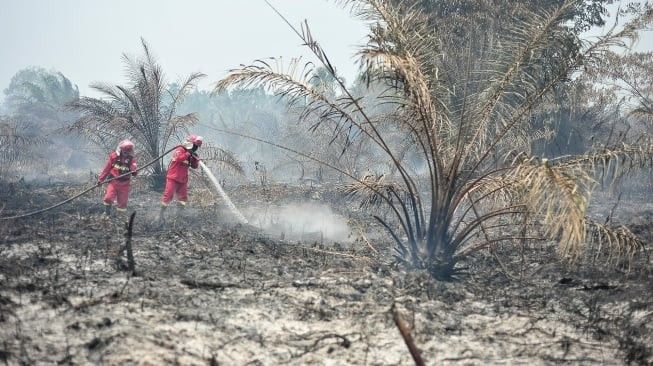 Karhutla Makin Berulang, WALHI Tagih Negara Tunaikan Mandat TAP MPR 2001