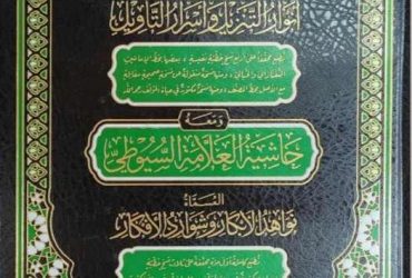 Tafsir di Hadapan Sultan: Anwār al-Tanzīl sebagai Sumber Otoritas Keilmuan dan Nasihat Politik dalam Ḥuzūr Dersleri